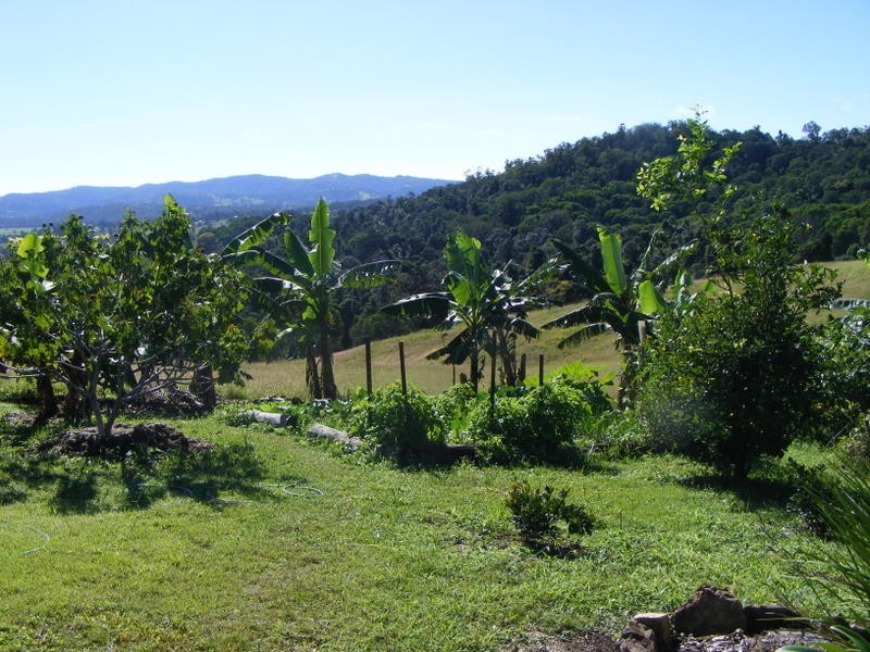 501 Whelan Road, Imbil QLD 4570