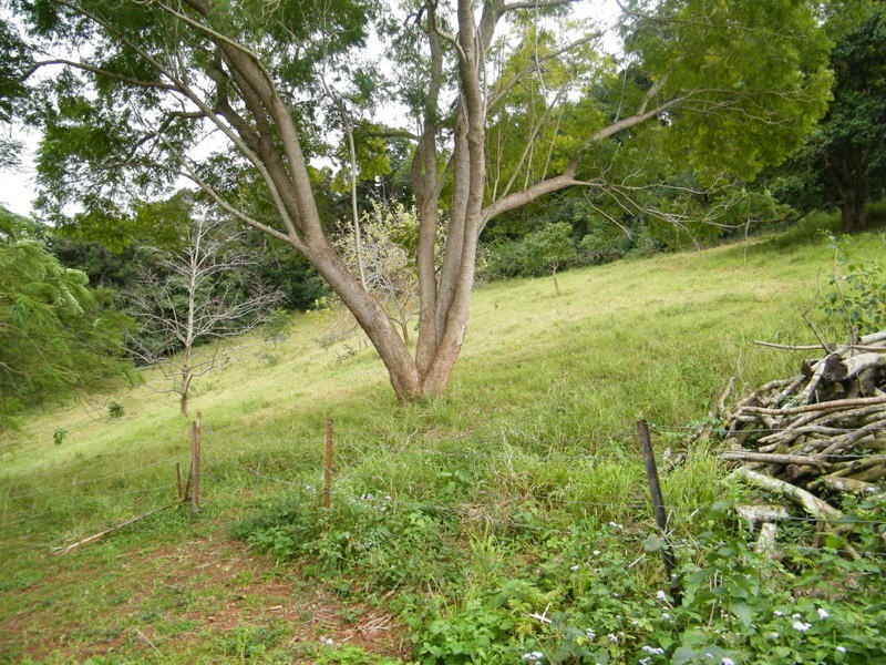 86 Red Gully Road, Amamoor QLD 4570