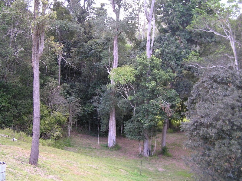 259 Moy Pocket Road, Brooloo QLD 4570