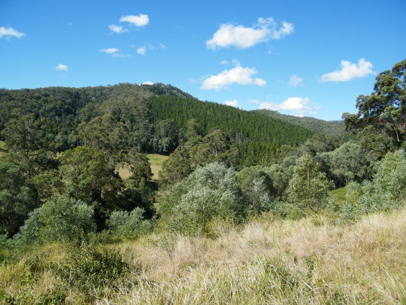 Lot 2 Mitchell Creek Road, Kandanga Creek QLD 4570