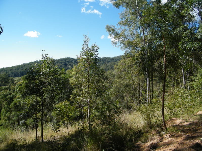Lot 2 Mitchell Creek Road, Kandanga Creek QLD 4570