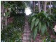 111 Yabba Road, Imbil QLD 4570