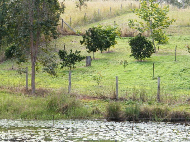 36 Ernst Road, Kandanga Creek QLD 4570