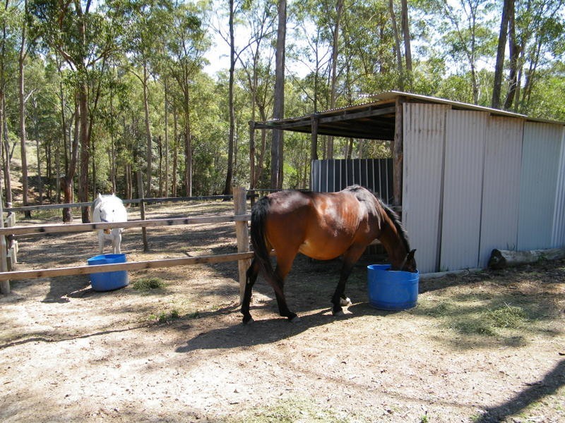 606 Lowe Road, Imbil QLD 4570