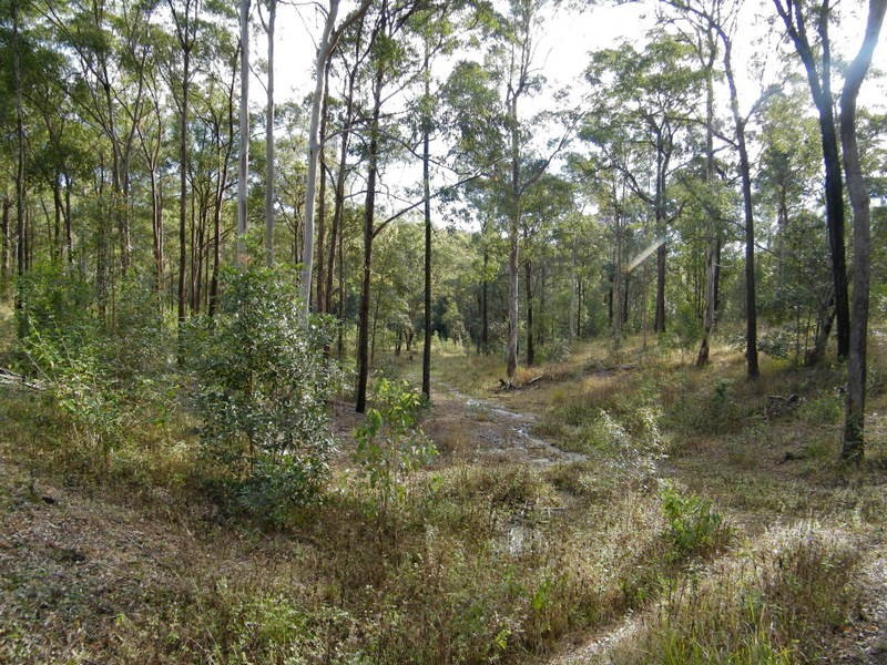 606 Lowe Road, Imbil QLD 4570