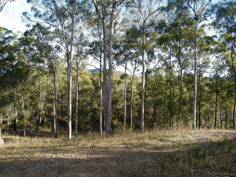 606 Lowe Road, Imbil QLD 4570