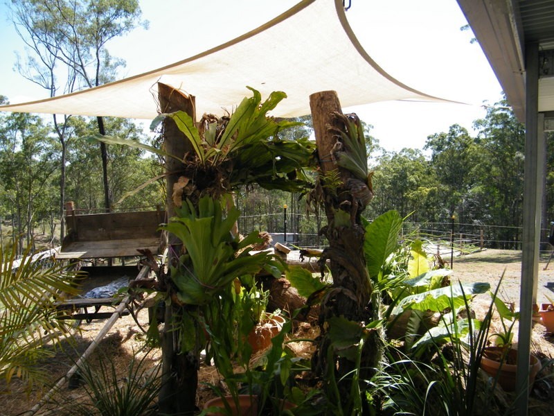 606 Lowe Road, Imbil QLD 4570