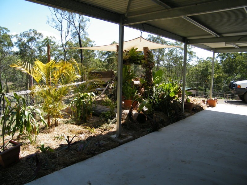 606 Lowe Road, Imbil QLD 4570