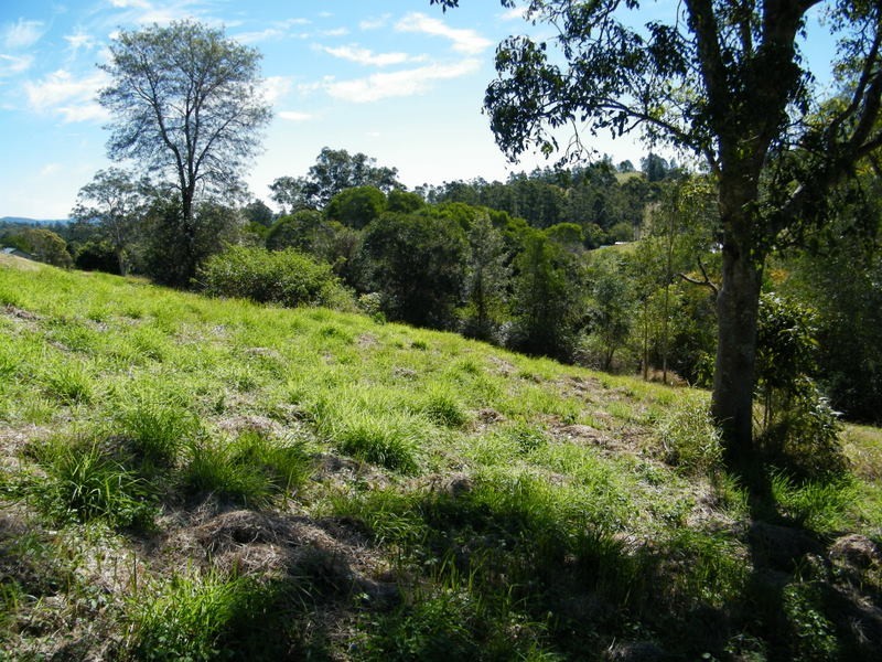 12 Oak Court, Carters Ridge QLD 4563