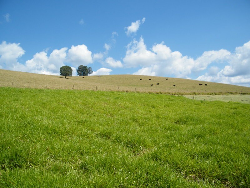 Lot 25 George, Brooloo QLD 4570