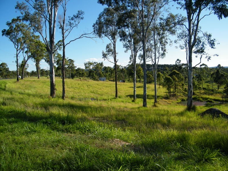 Lot 1 Muster Court, Amamoor QLD 4570