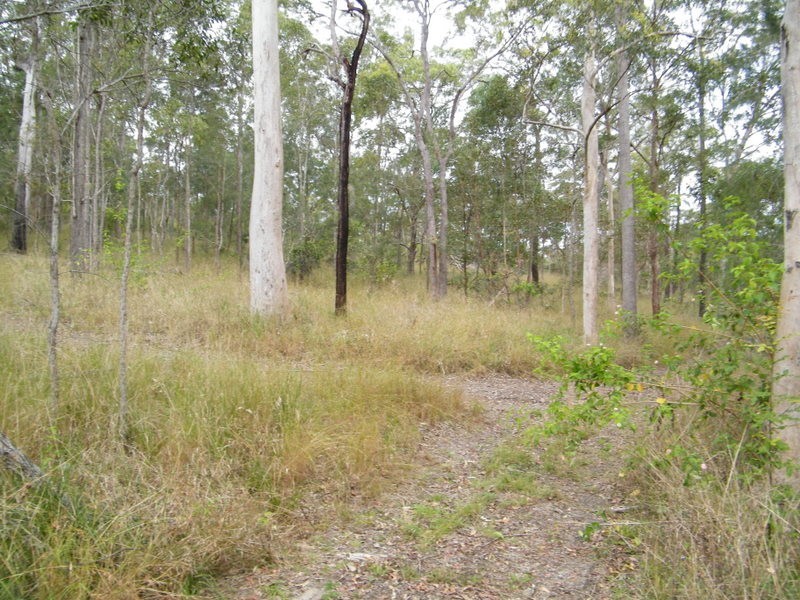 Bollier QLD 4570