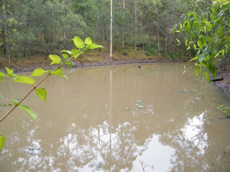 Bollier QLD 4570