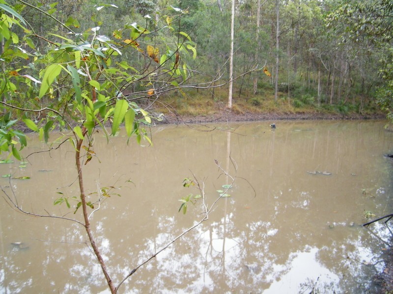 Bollier QLD 4570