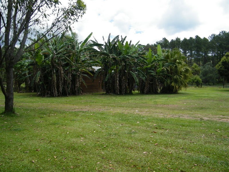 264 Coonoongibba Creek, Brooloo QLD 4570