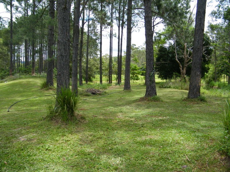 264 Coonoongibba Creek, Brooloo QLD 4570