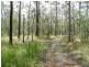 Lot 55 Tiffany Road, Imbil QLD 4570