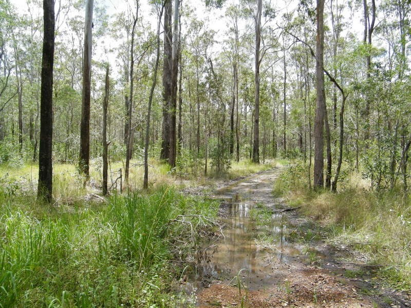 Lot 55 Tiffany Road, Imbil QLD 4570