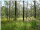 Lot 55 Tiffany Road, Imbil QLD 4570