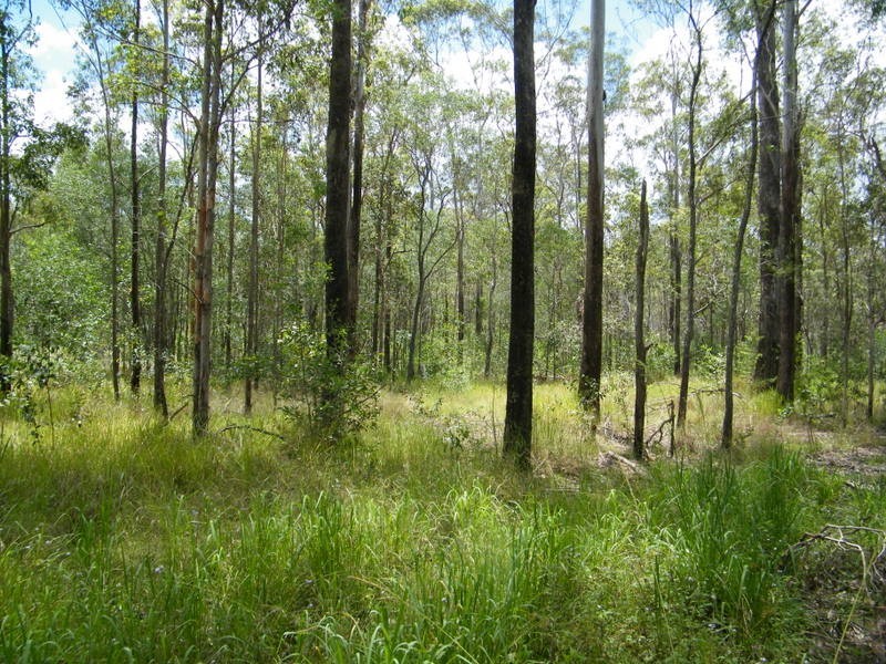 Lot 55 Tiffany Road, Imbil QLD 4570