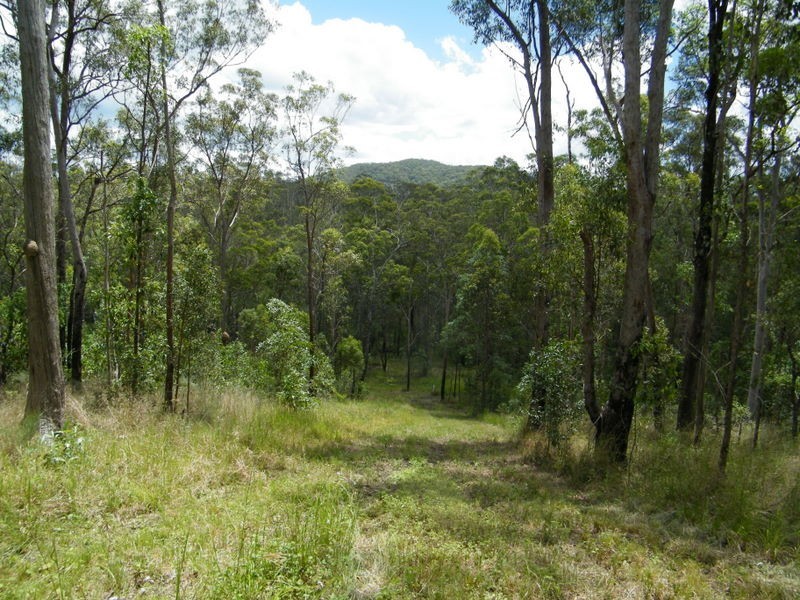 Lot 55 Tiffany Road, Imbil QLD 4570