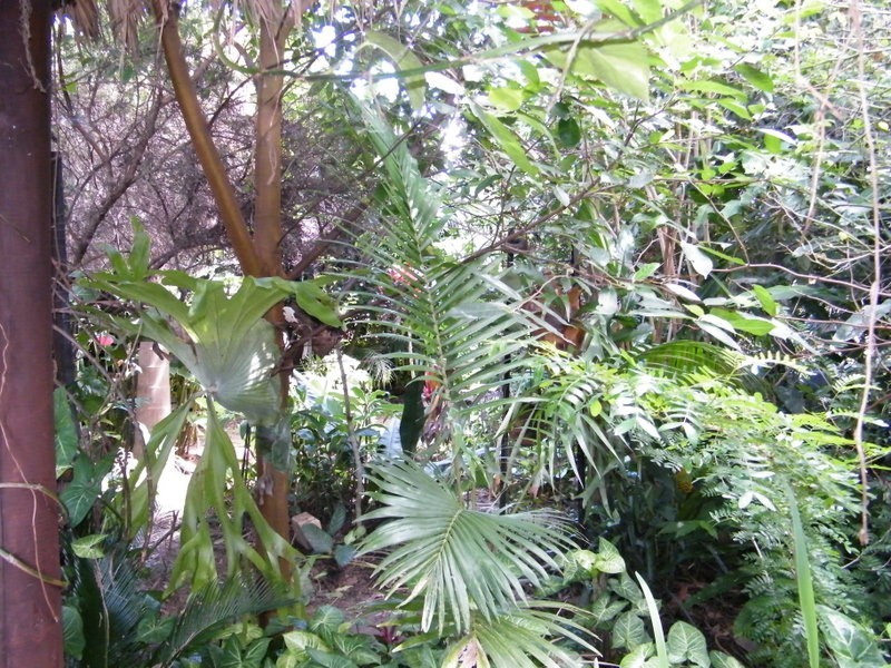 3 George, Imbil QLD 4570