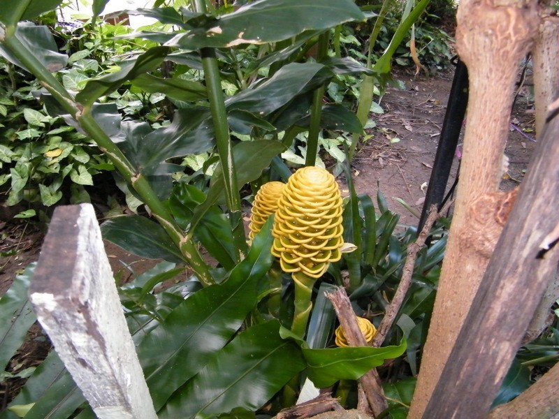 3 George, Imbil QLD 4570