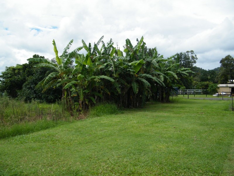 33 Kevin Road, Imbil QLD 4570