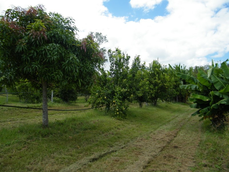 220 Ballard Road, Imbil QLD 4570