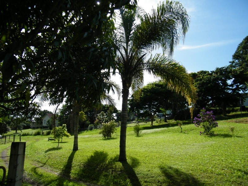 6 Albion, Imbil QLD 4570