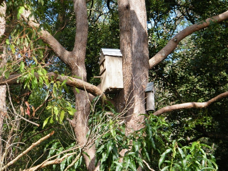 6 Albion, Imbil QLD 4570