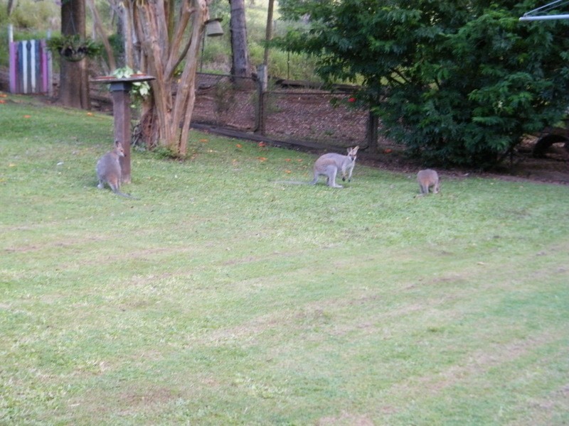 6 Albion, Imbil QLD 4570