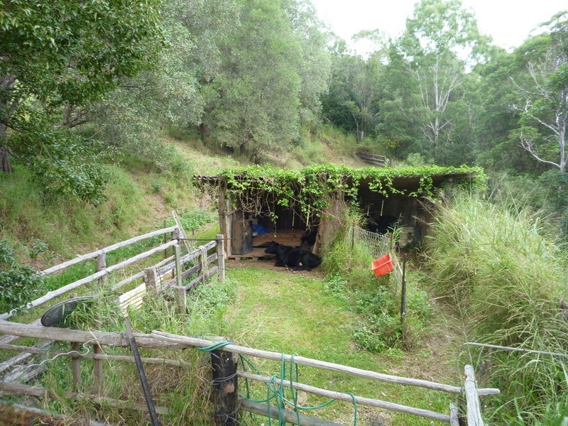 6 Albion, Imbil QLD 4570