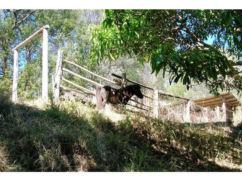 6 Albion, Imbil QLD 4570