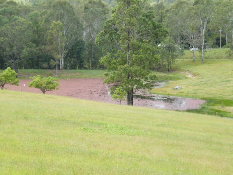 716 Kandanga Creek, Kandanga QLD 4570