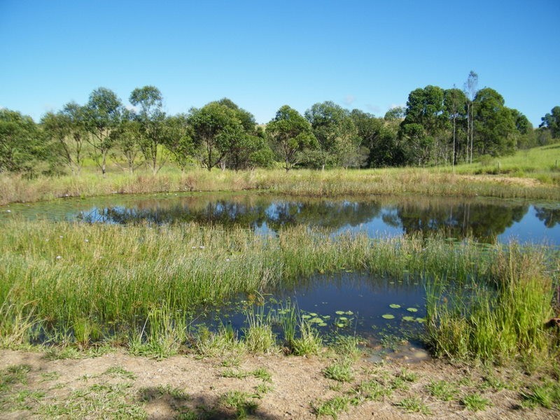 408 Kandanga Road, Imbil QLD 4570