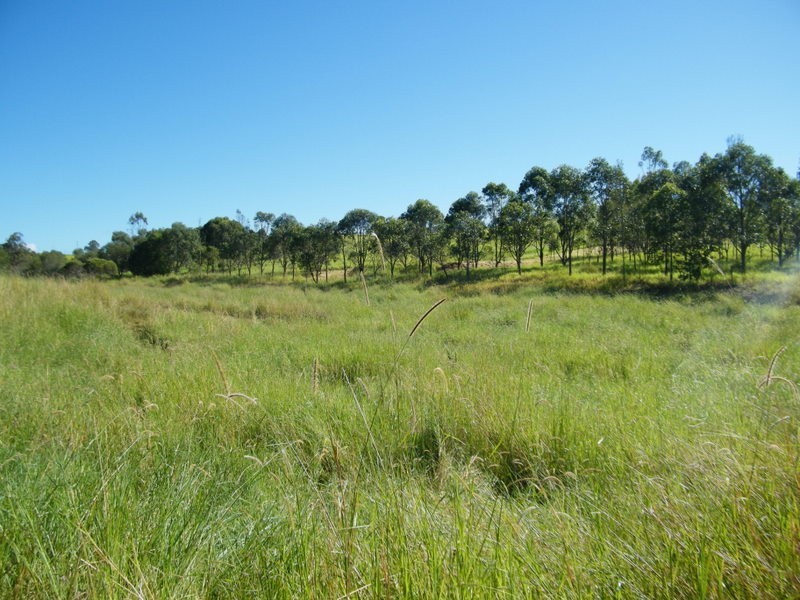 408 Kandanga Road, Imbil QLD 4570