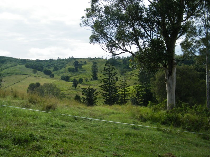 Carters Ridge QLD 4563