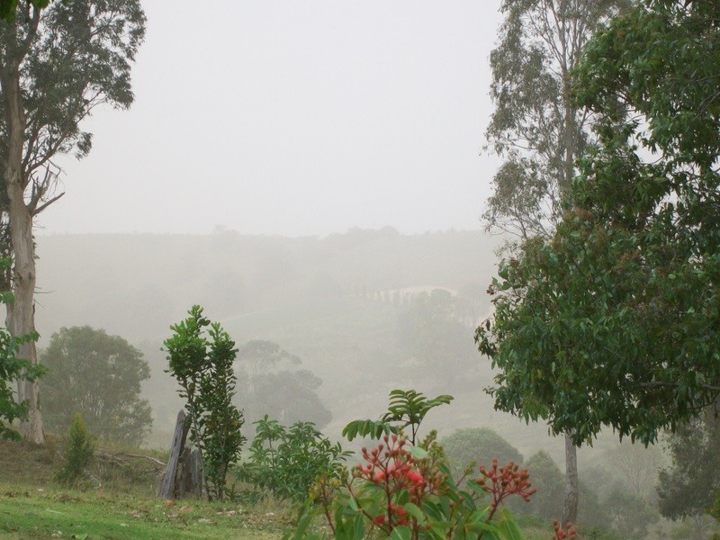 Carters Ridge QLD 4563