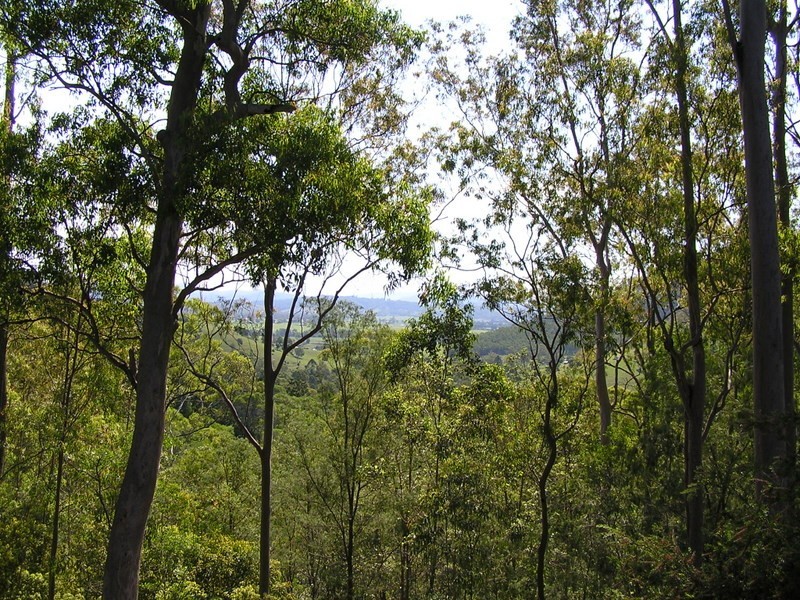 258 Chinamans Creek Road, Tuchekoi QLD 4570