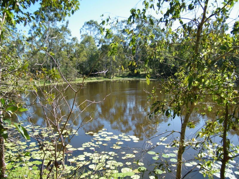 49 Blackgate Road, Amamoor QLD 4570