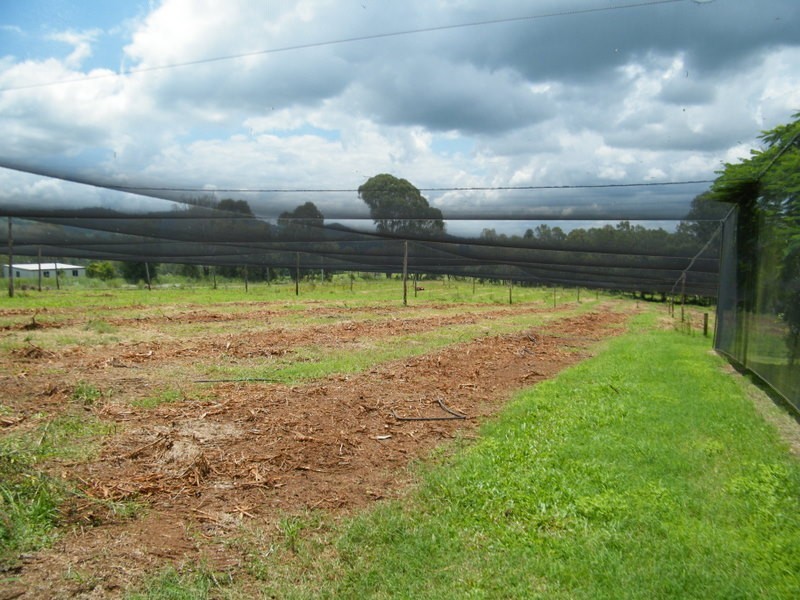 49 Blackgate Road, Amamoor QLD 4570