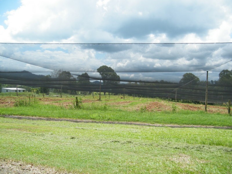 49 Blackgate Road, Amamoor QLD 4570