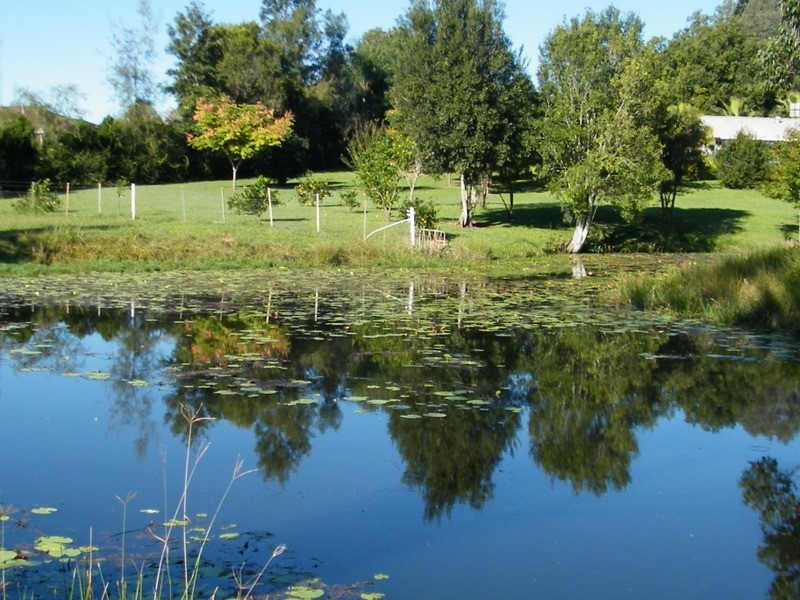 30 Green Trees Road, Pie Creek QLD 4570