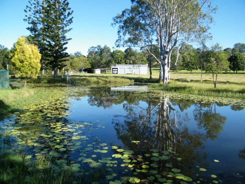 30 Green Trees Road, Pie Creek QLD 4570