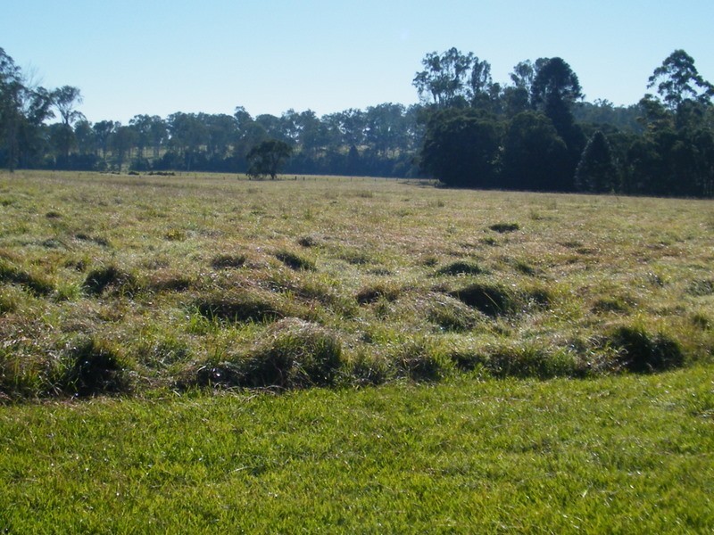 30 Green Trees Road, Pie Creek QLD 4570