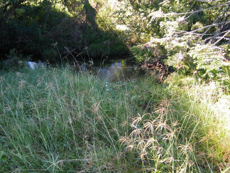 30 Green Trees Road, Pie Creek QLD 4570