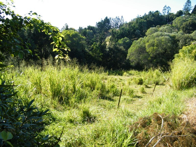 Lot 4 Marsden, Imbil QLD 4570