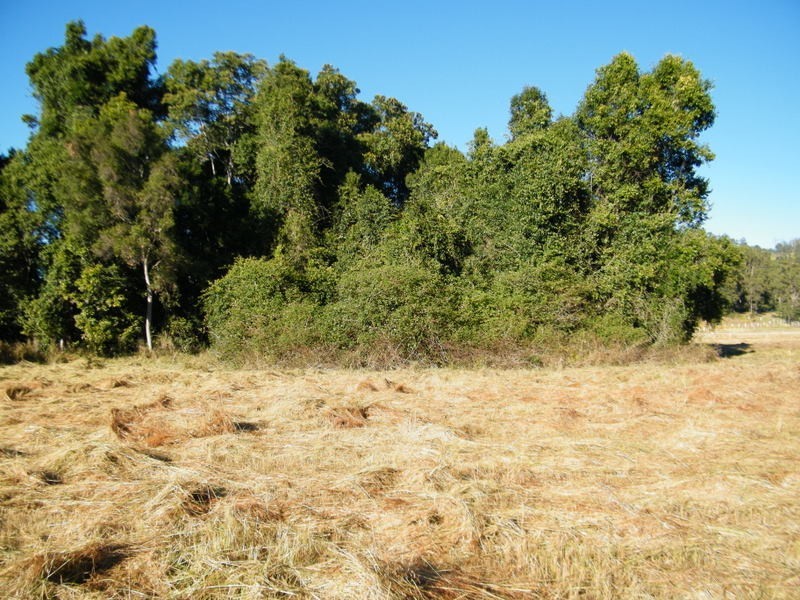 Lot 29 Greenoak Road, Kandanga QLD 4570
