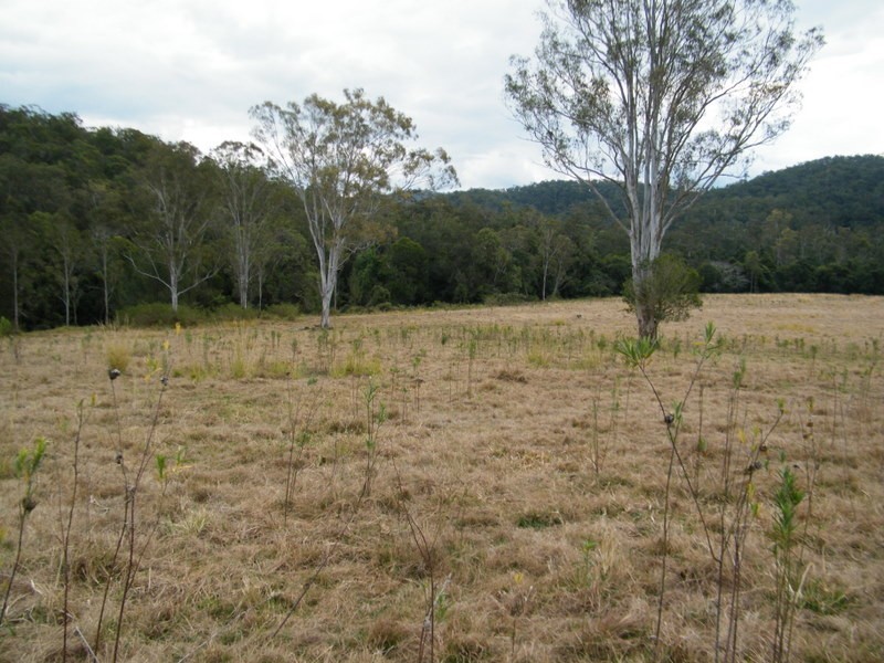 Lot 4 Kandanga Creek Road, Kandanga QLD 4570